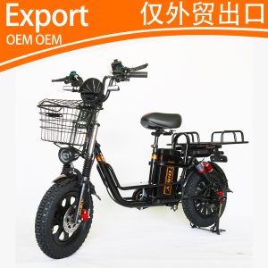 16-Inch 48V6/0V00W Electric Bicycle Moped Lithium Battery Harley Oil Brake Export Export Load King Export