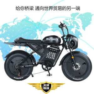 Super 73 Rx Black Warrior Off-Road Snowmobile Export Export Electric Bicycle 20*4.0 Wide Tire Africa