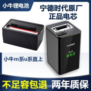Mavericks No. 9 Electric Car Lithium Battery 48V Battery Car 60V Rechargeable Large Single 72V Power Battery