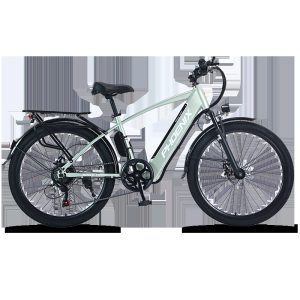 Phoenix Electric Bicycle Commuter New National Standard Lithium Battery 26inch Variable Speed Leisure Scooter Power-assisted Lightweight Battery Car
