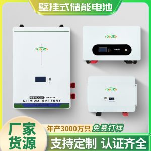 48V200Ah Wall-Mounted Lithium Iron Phosphate Battery Customized Solar Photovoltaic Storage Battery Power Generation System Power Supply